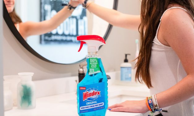 Give Your Home A Summer Refresh with Windex® Original Glass Cleaner