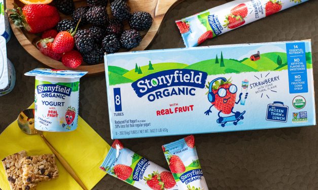 Summer Snacking Made Easy with Stonyfield Organic – BOGO Sale At Publix