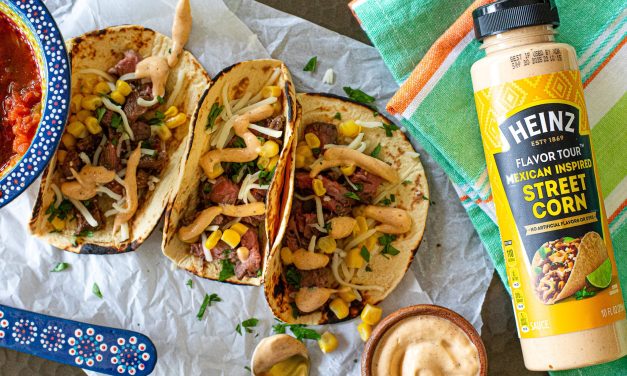 Grab A Bottle Of Heinz Flavor Tour Sauce For Just $1.49 At Publix