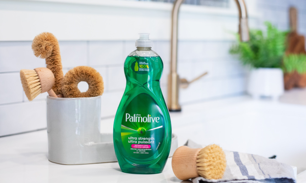 Palmolive Dish Soap As Low As $2.58 At Publix (Regular Price $4.99)