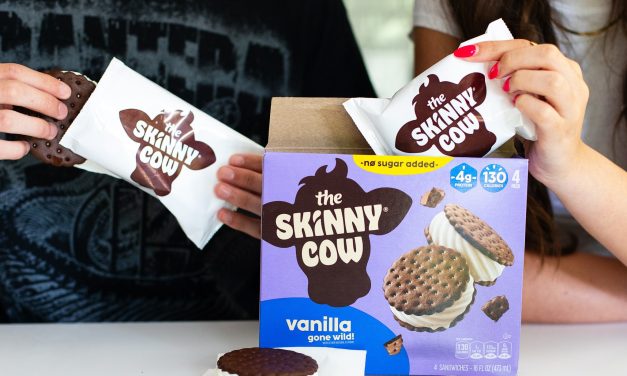 Skinny Cow Ice Cream Treats Are As Low As $1.60 At Publix (Regular Price $5.19)