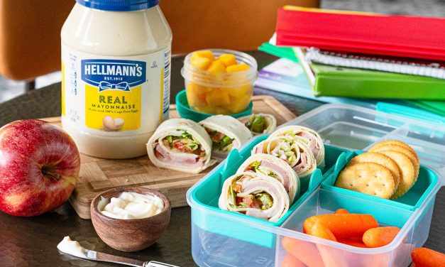 Hellmann’s Is Your Secret To Stress-Free School Lunches – Great Deal Available At Publix