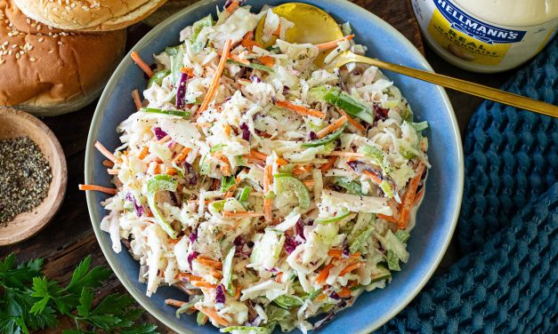 Savor The End Of Summer With Hellmann’s – Save Now At Publix