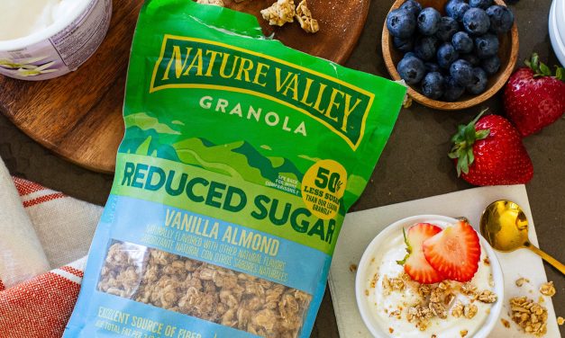 Nature Valley Granola As Low As $2.50 Per Bag At Publix