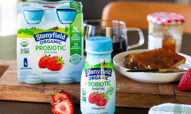 Back-to-School Sanity Starts With Stonyfield – Save Now At Publix