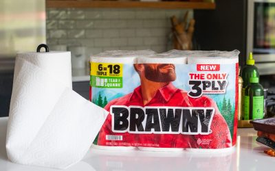 Brawny Paper Towels Are As Low As $9.40 At Publix (Regular Price $21.79!)