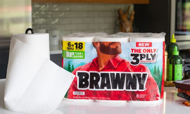Brawny Paper Towels Are As Low As $9.40 At Publix (Regular Price $21.79!)