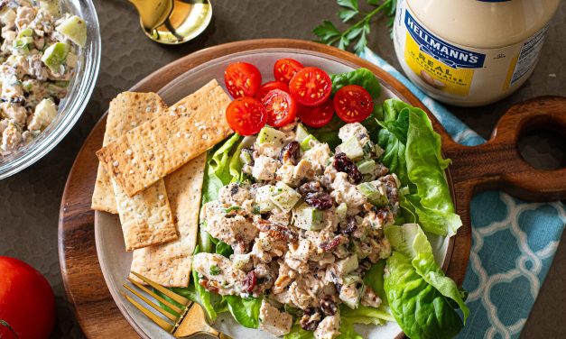 Turn Holiday Leftovers Into Exciting Meals With Hellmann’s – BOGO Sale At Publix
