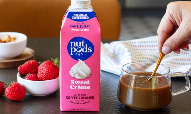 Nutpods Dairy-Free Creamer As Low As $4.49 At Publix