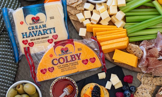 Elevate Your Thanksgiving With Amish Country Cheese – BOGO Sale At Publix