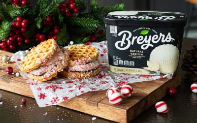 Sweet Savings For The Season – Stock up On BOGO Breyers At Publix