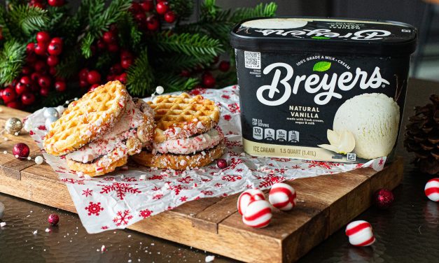 Sweet Savings For The Season – Stock up On BOGO Breyers At Publix