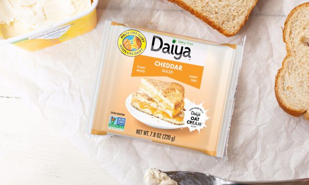 Daiya Dairy Free Slices Just $2.50 At Publix (Regular Price $5.49)