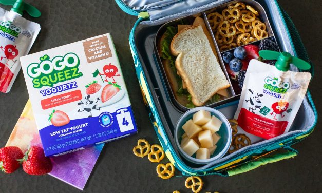 Meet Your Favorite Snack – GoGo squeeZ® YogurtZ!