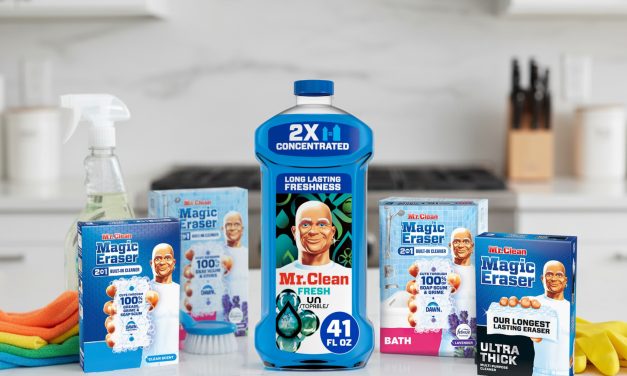 Mr. Clean Magic Eraser As Low As $3.99 At Publix