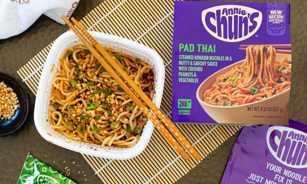 Get Annie Chun’s Soup or Noodle Bowls For As Low As $1.25 Each At Publix