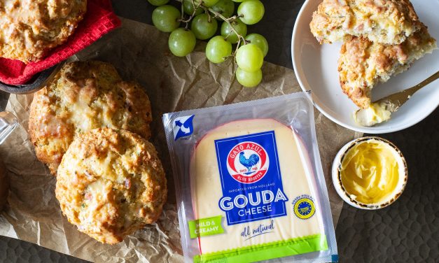 Stock Up On Gayo Azul Gouda For All Your Holiday Entertaining – BOGO Sale At Publix