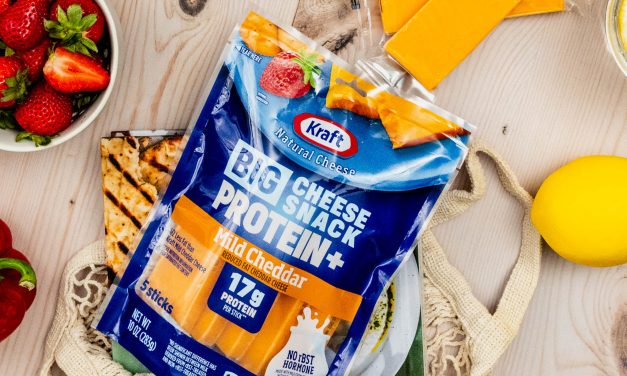 Snack Big & Stay Focused – Introducing Kraft Big Cheese Snack Protein + On Sale BOGO At Publix