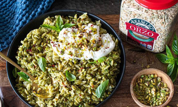 Make It Wow! RiceSelect® Is BOGO At Publix – Stock Up & Elevate Your Everyday Meals!