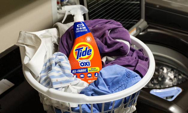 Tide Rescue Laundry Stain Remover Spray As Low As $2.99 At Publix (Regular Price $4.99)