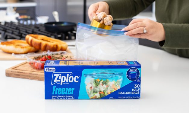 Pick Up Ziploc Brand Bags As Low As $3.50 Per Box At Publix – Less Than Half Price