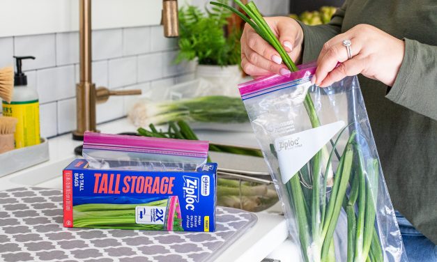 Pick Up Ziploc Brand Bags As Low As $1.25 Per Box At Publix