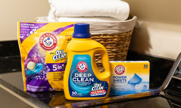 Get Your Laundry Guest-Ready with ARM & HAMMER™ – BOGO Sale At Publix