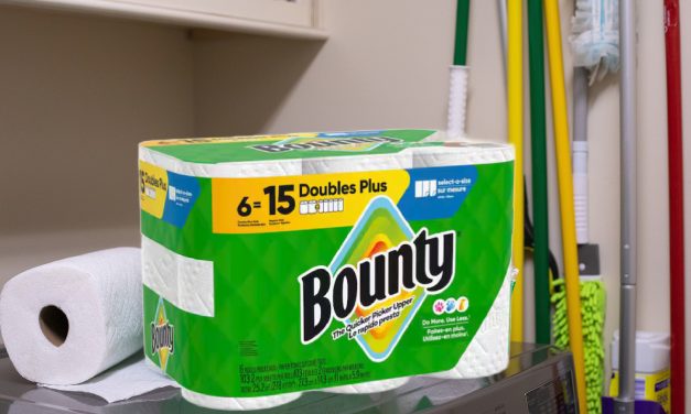Bounty Paper Towels Are As Low As $12.99 At Publix (Regular Price $21.79!)