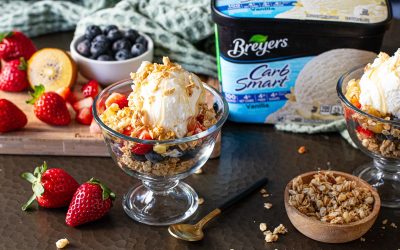 Start The Year With A Freezer Filled With Breyers – BOGO Sale At Publix