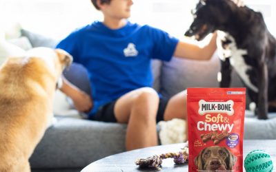 Milk-Bone Dog Treats As Low As $1.65 At Publix