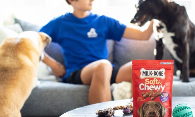 Milk-Bone Dog Treats As Low As $1.65 At Publix
