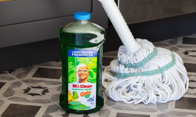 Mr. Clean Multi-Surface Cleaner Just $3.99 At Publix