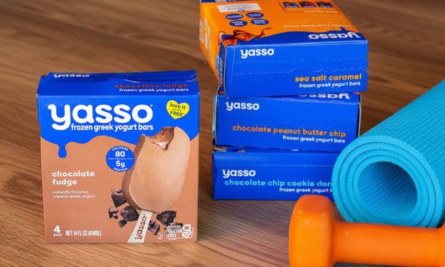 Start Your New Year With Great Taste & Big Savings – BOGO Yasso Bars At Publix!