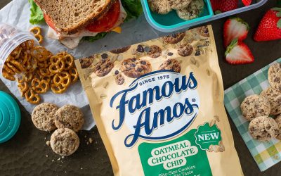 Stock Up On Famous Amos® Oatmeal Chocolate Chip Cookies – BOGO Sale At Publix!