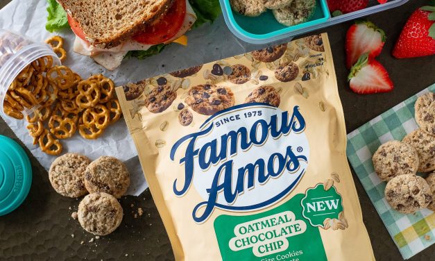 Stock Up On Famous Amos® Oatmeal Chocolate Chip Cookies – BOGO Sale At Publix!
