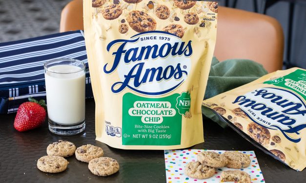 Enjoy An Oatmeal Twist On A Famous Favorite – Famous Amos® Oatmeal Chocolate Chip Cookies Are Available At Publix!