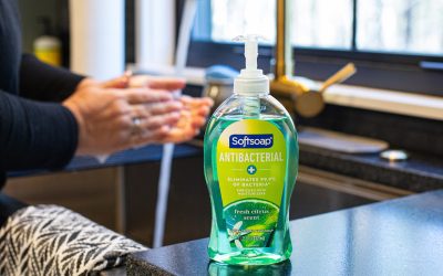 Softsoap Liquid Hand Soap Just $2 At Publix
