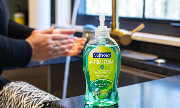 Softsoap Liquid Hand Soap Just $2 At Publix