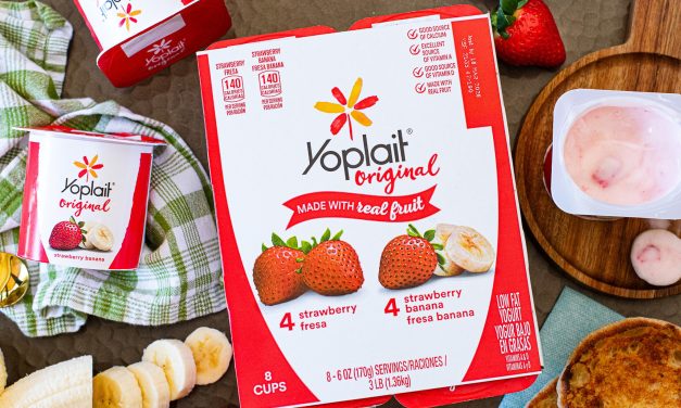Fantastic Deal On Yoplait Yogurt At Publix – $1.95 Per Pack (Just 24¢ Per Cup)