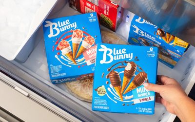 The BOGO Deal You Can’t Miss – BOGO Blue Bunny Mini Swirls