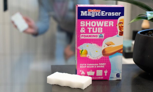 Mr. Clean Shower & Tub Scrubber Starter Kit As Low As $9.99 At Publix (Regular Price $14.99)