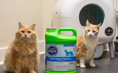 Cat’s Pride Cat Litter As Low As $3.75 At Publix