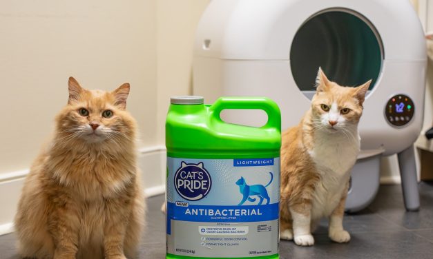 Cat’s Pride Cat Litter As Low As $3.75 At Publix