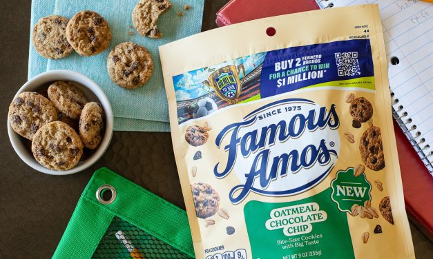 Add Great Taste To Your Cart –  Famous Amos® Oatmeal Chocolate Chip Cookies Are BOGO At Publix!