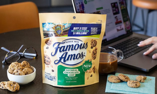 Double The Flavors, Double The Deal – Famous Amos® Oatmeal Chocolate Chip Cookies Are BOGO At Publix