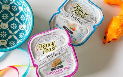 Fancy Feast Petites Cat Food Just 83¢ Per Container At Publix (Regular Price $1.20)