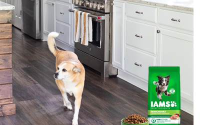 Get The Bags Of Iams Proactive Health Dog Food For Just $4.75 At Publix