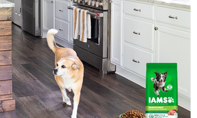 Get The Bags Of Iams Proactive Health Dog Food For Just $4.75 At Publix