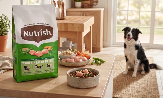 Rachael Ray Nutrish Food For Dogs As Low As $4.87 At Publix