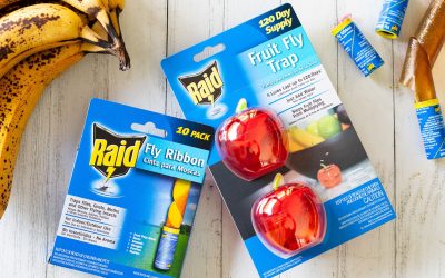 Pick Up A Super Deal On Raid Fly Ribbon And Fruit Fly Traps At Publix